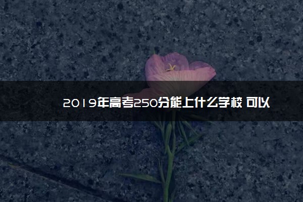 2019年高考250分能上什么学校 可以报哪些学校