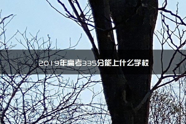 2019年高考335分能上什么学校