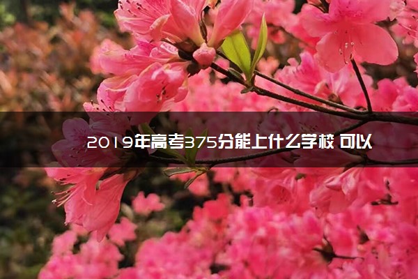 2019年高考375分能上什么学校 可以报哪些学校