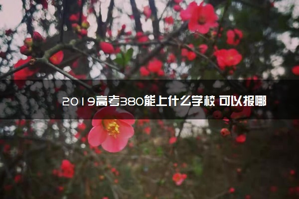 2019高考380能上什么学校 可以报哪些学校