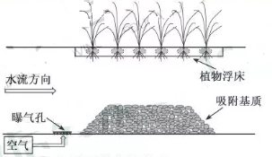 2019江苏高考生物试题（word精校版）