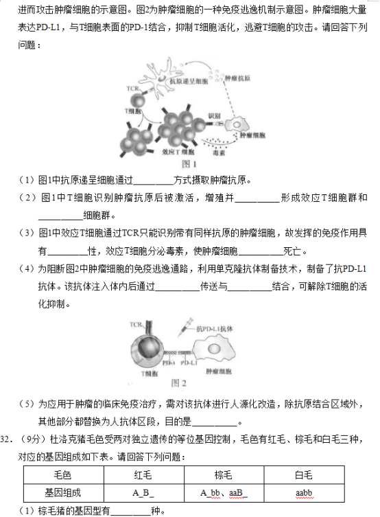 2019江苏高考生物试题（word精校版）