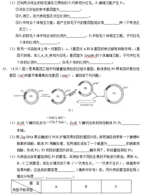 2019江苏高考生物试题（word精校版）