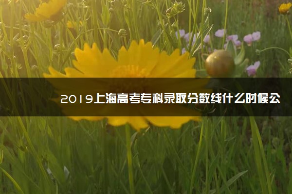 2019上海高考专科录取分数线什么时候公布