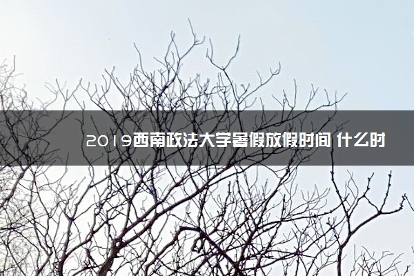 2019西南政法大学暑假放假时间 什么时候放暑假