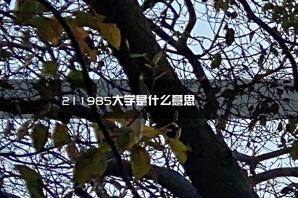 211985大学是什么意思