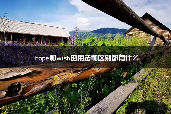 hope和wish的用法和区别都有什么