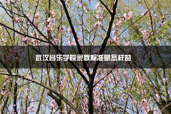 武汉音乐学院录取标准是怎样的