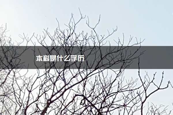 本科是什么学历