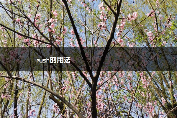 rush的用法