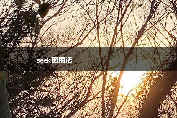 seek的用法