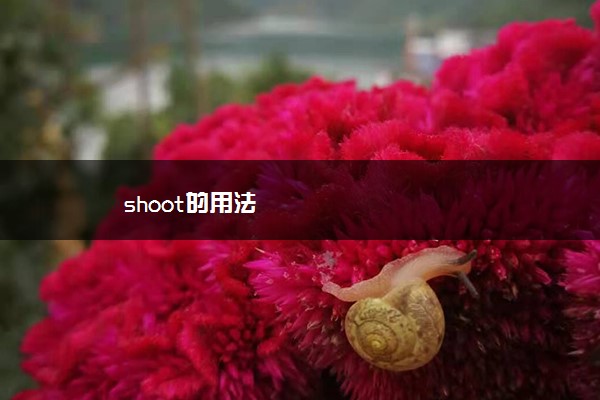 shoot的用法