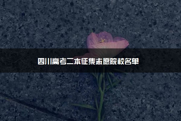 四川高考二本征集志愿院校名单