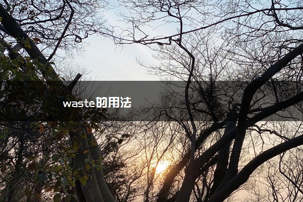 waste的用法