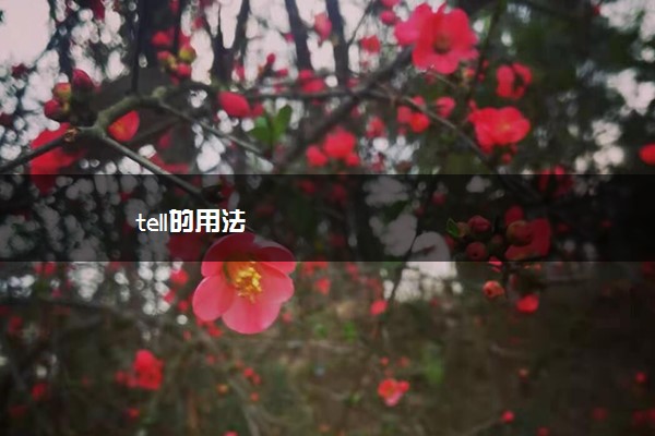 tell的用法