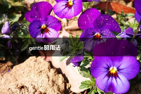 gentle的用法