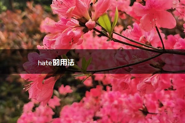 hate的用法