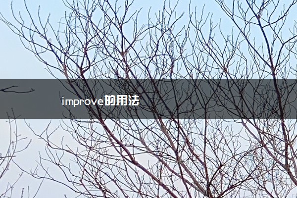 improve的用法