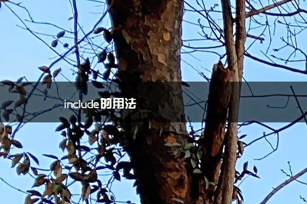 include的用法