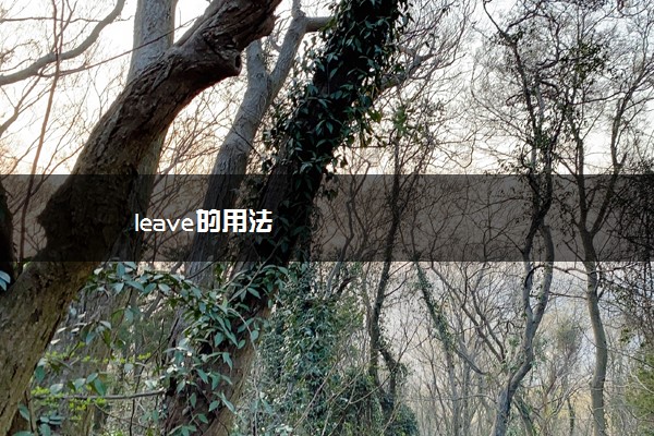 leave的用法