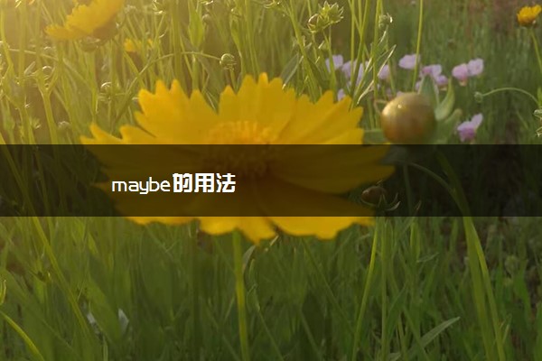 maybe的用法