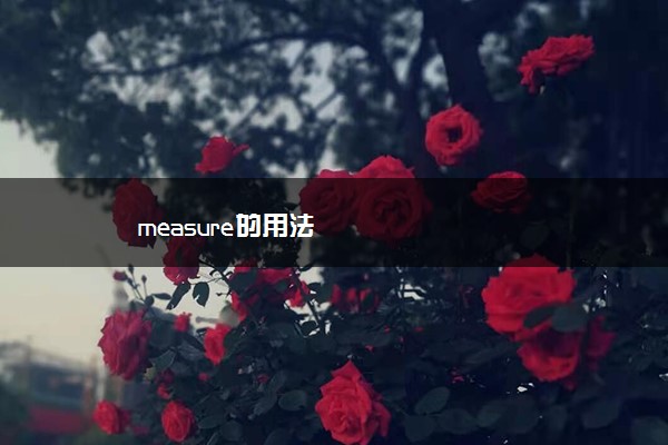 measure的用法