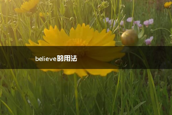 believe的用法