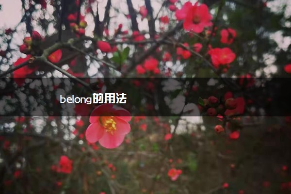 belong的用法