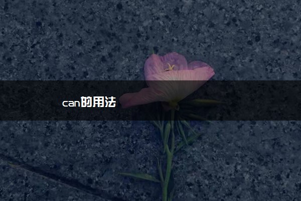 can的用法