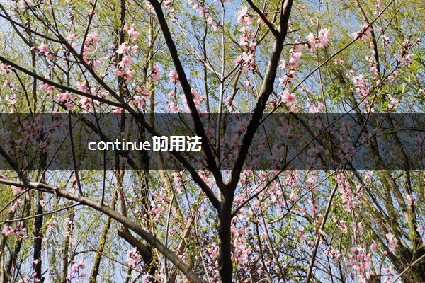 continue的用法