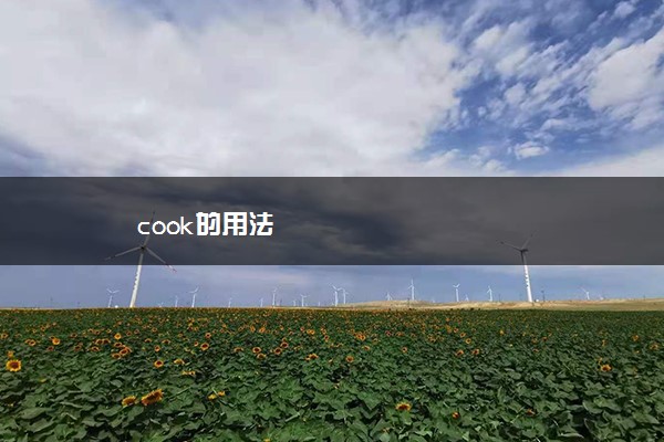 cook的用法