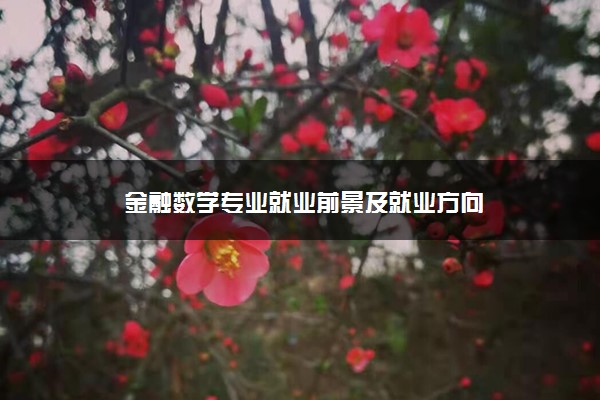 金融数学专业就业前景及就业方向