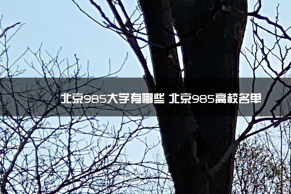 北京985大学有哪些 北京985高校名单