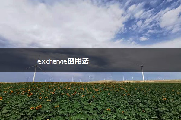 exchange的用法