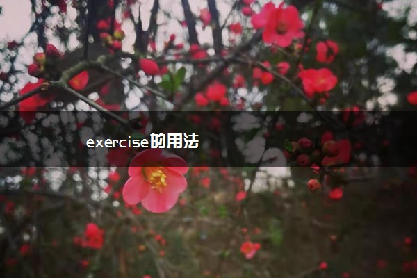 exercise的用法