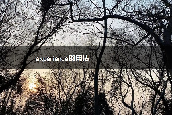 experience的用法