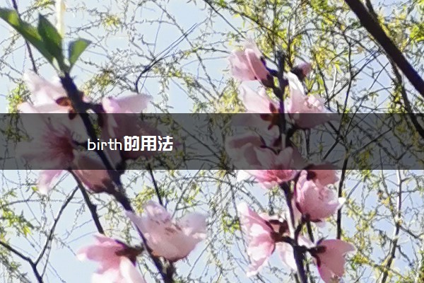 birth的用法