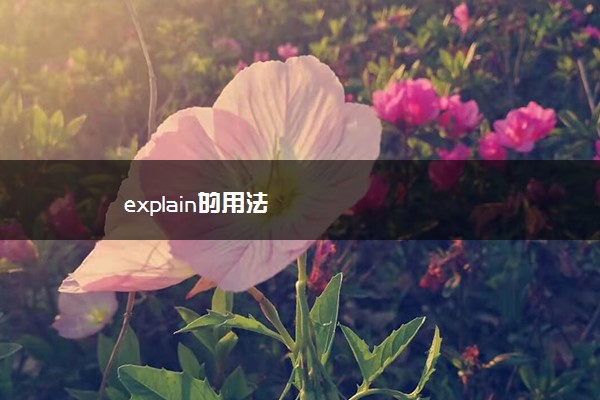 explain的用法