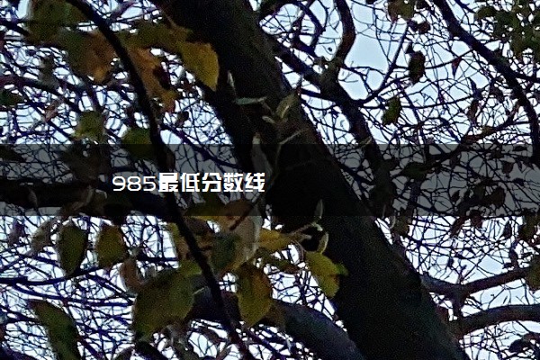 985最低分数线