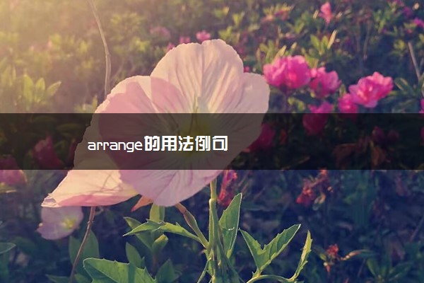 arrange的用法例句