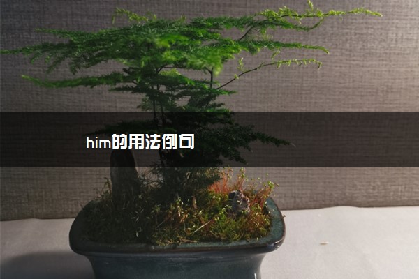 him的用法例句