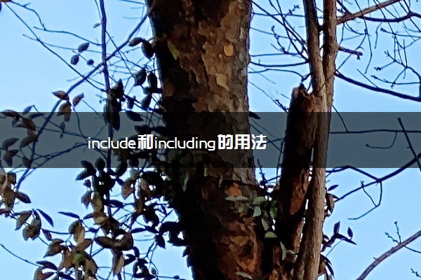 include和including的用法区别