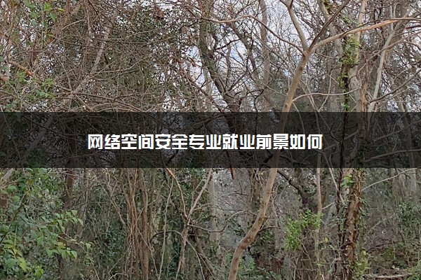 网络空间安全专业就业前景如何