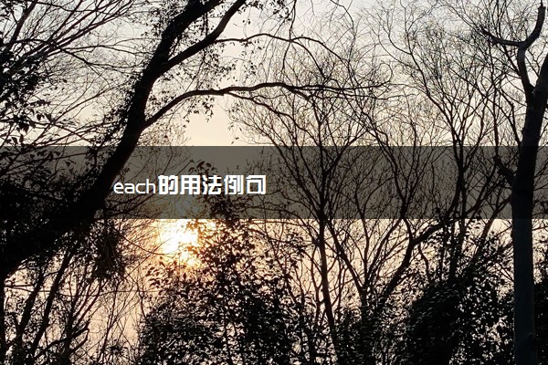 each的用法例句