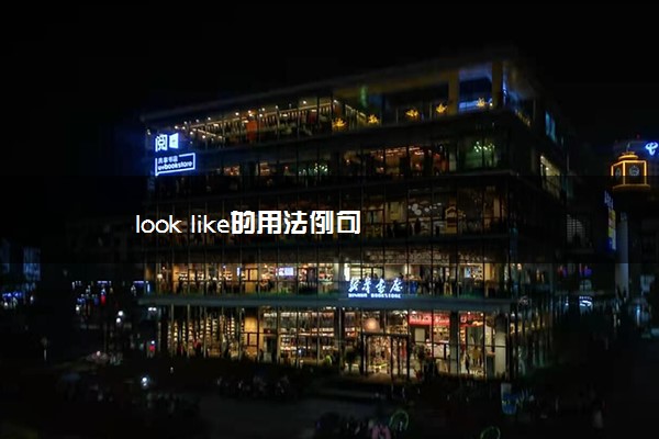 look like的用法例句