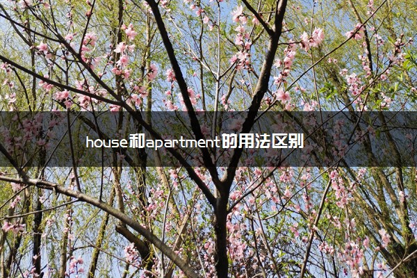 house和apartment的用法区别