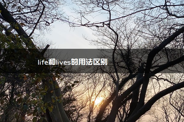 life和lives的用法区别