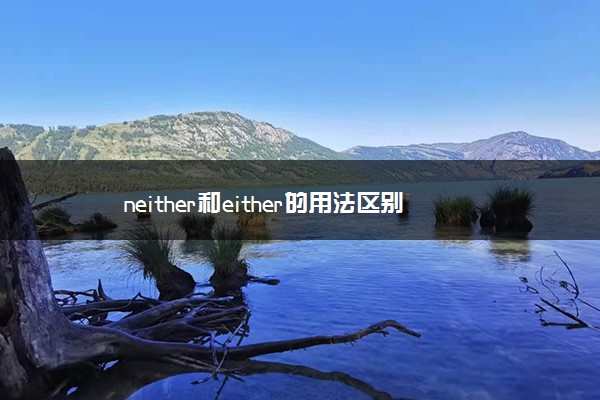 neither和either的用法区别