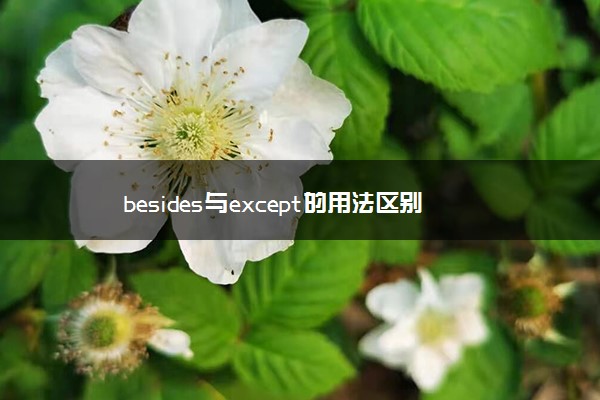 besides与except的用法区别