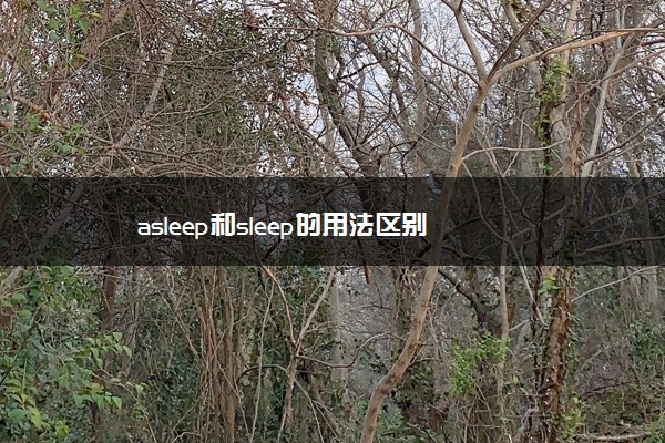 asleep和sleep的用法区别